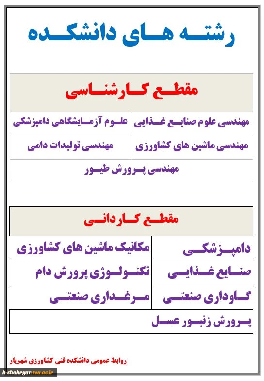 رشته