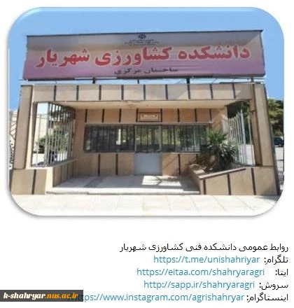 روابط عمومی