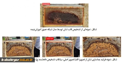 اختتام طرح توسعة سامانة هوشمند تشخیص الگوی کلنی های زنبور عسل بر پایة روش پردازش تصویر
