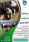 برگزاری دوره ی آموزشی تغذیه و جیره نویسی گاوشیری
