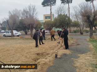 برگزاری آئین درختکاری در آموزشکده ملی مهارت کشاورزی شهریار 4