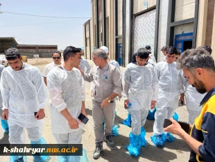 بازدید دانشجویان رشته علوم دامی آموزشکده ملی مهارت کشاورزی شهریار از شرکت کشت و صنعت سبز غزال (میهن) 2