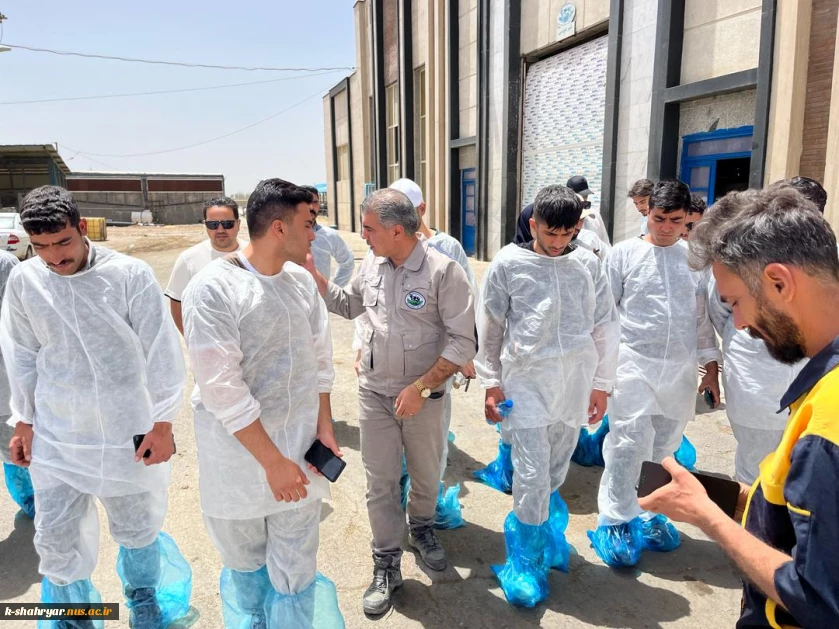 بازدید دانشجویان رشته علوم دامی آموزشکده ملی مهارت کشاورزی شهریار از شرکت کشت و صنعت سبز غزال (میهن)