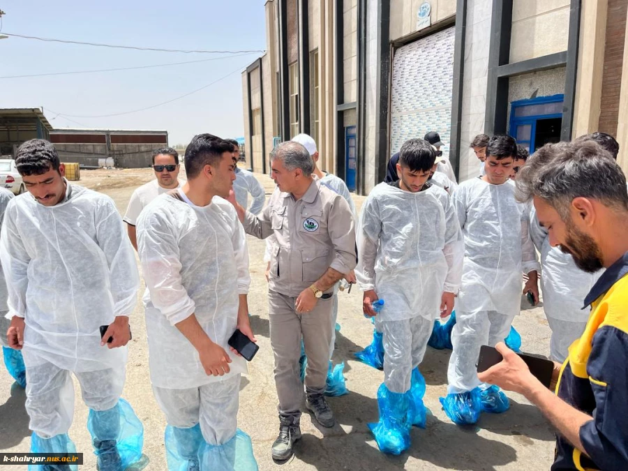 بازدید دانشجویان رشته علوم دامی آموزشکده ملی مهارت کشاورزی شهریار از شرکت کشت و صنعت سبز غزال (میهن) 2