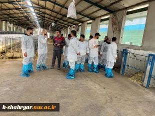بازدید دانشجویان رشته علوم دامی آموزشکده ملی مهارت کشاورزی شهریار از شرکت کشت و صنعت سبز غزال (میهن) 2