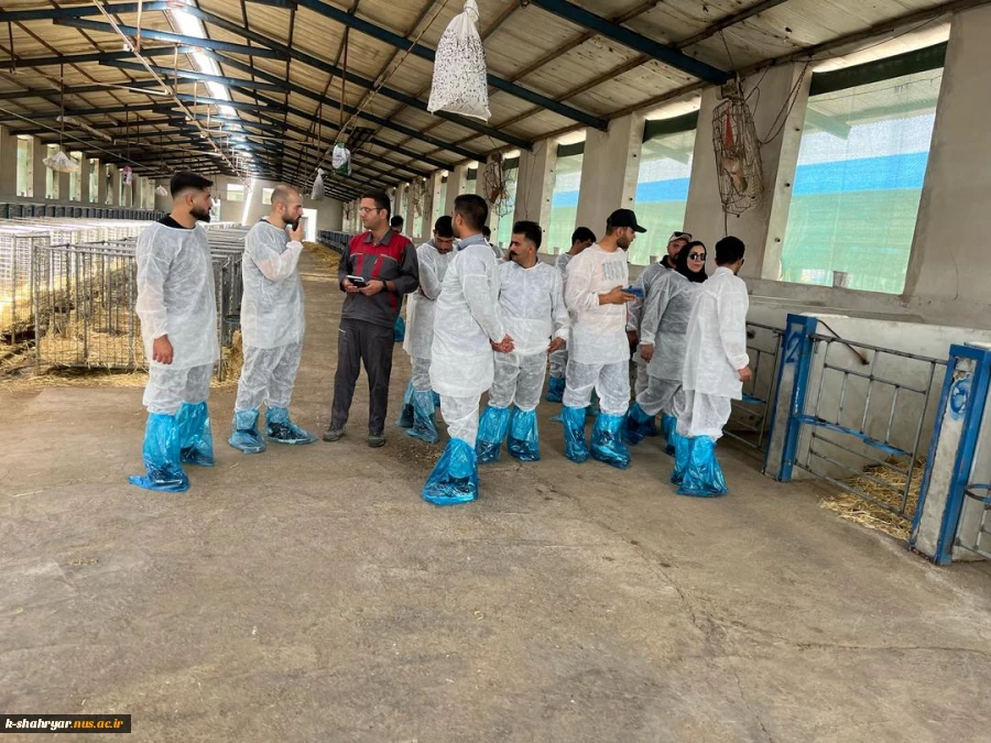بازدید دانشجویان رشته علوم دامی آموزشکده ملی مهارت کشاورزی شهریار از شرکت کشت و صنعت سبز غزال (میهن) 2