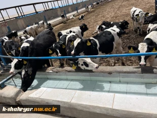 بازدید دانشجویان رشته علوم دامی آموزشکده ملی مهارت کشاورزی شهریار از شرکت کشت و صنعت سبز غزال (میهن) 2