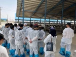 بازدید دانشجویان رشته علوم دامی آموزشکده ملی مهارت کشاورزی شهریار از شرکت کشت و صنعت سبز غزال (میهن) 2