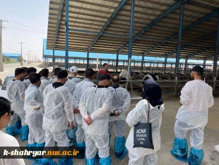 بازدید دانشجویان رشته علوم دامی آموزشکده ملی مهارت کشاورزی شهریار از شرکت کشت و صنعت سبز غزال (میهن) 2