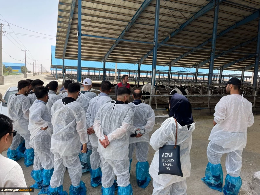بازدید دانشجویان رشته علوم دامی آموزشکده ملی مهارت کشاورزی شهریار از شرکت کشت و صنعت سبز غزال (میهن) 2