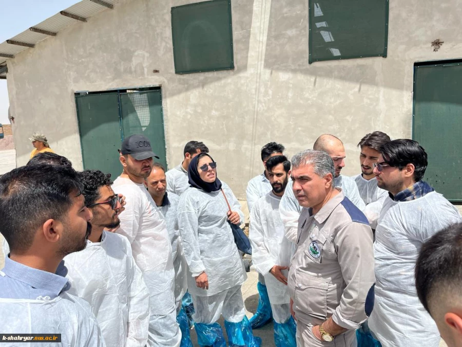 بازدید دانشجویان رشته علوم دامی آموزشکده ملی مهارت کشاورزی شهریار از شرکت کشت و صنعت سبز غزال (میهن) 2