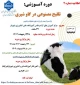 دوره آموزشی تلقیح مصنوعی در گاو شیری