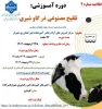 دوره آموزشی تلقیح مصنوعی در گاو شیری 2