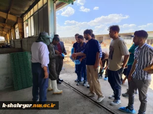 بازدید دانشجویان رشته علوم دامی آموزشکده ملی مهارت کشاورزی شهریار از دامداری نمونه شهریار 3