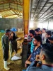 بازدید دانشجویان رشته علوم دامی آموزشکده ملی مهارت کشاورزی شهریار از دامداری نمونه شهریار 8