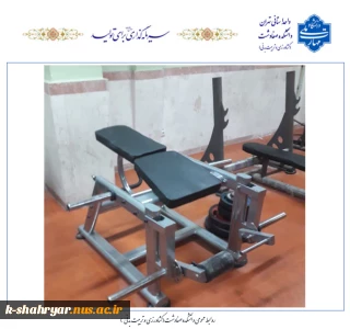 تجهیز و به روز رسانی  تجهیزات ورزشی سالن وزنه گروه تربیت بدنی دانشکده صفادشت (کشاورزی - تربیت بدنی)