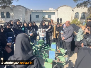 4d55b5b6-4816-45db-8c48-1af887a7c9f2