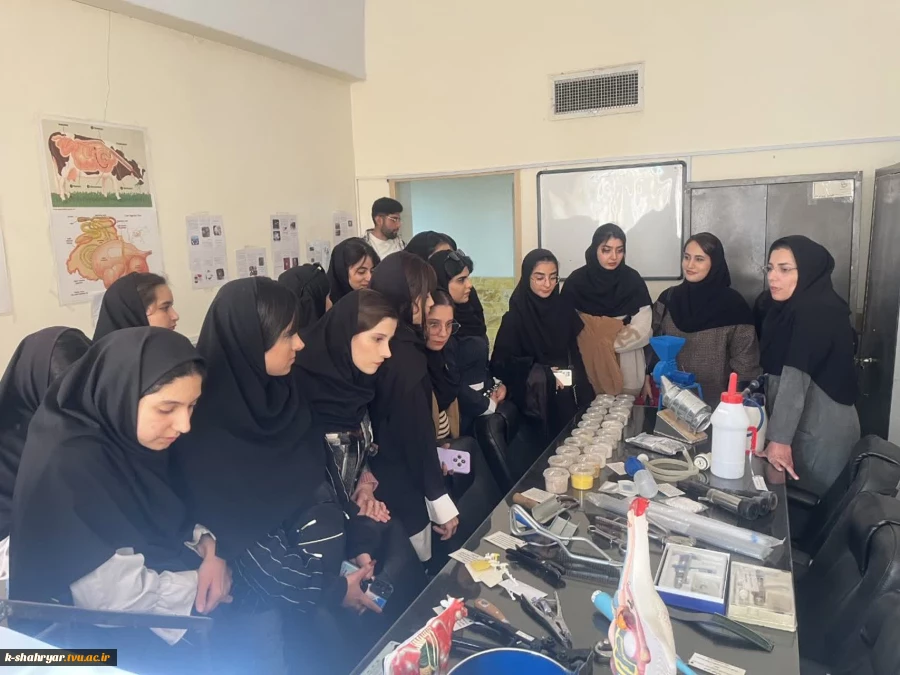 46e36788-916e-45e0-9c72-ae0c98dd9636