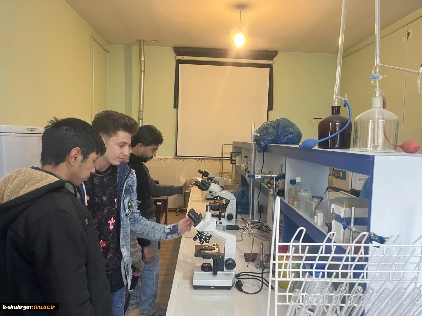 ‌برگزاری رویداد «روز باز دانشکده» از آزمایشگاه ها و کارگاه های مرکز به مناسبت هفته جهانی کارآفرین