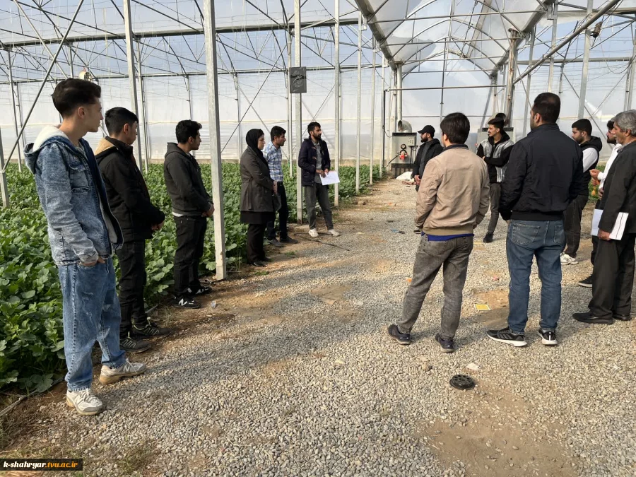 بازدید علمی دانشجویان درس ماشین ها و تجهیزات باغبانی استاد نسیم حبیبی از گلخانه آقای دهقان 2