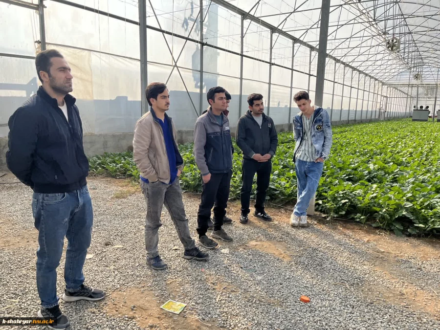 بازدید علمی دانشجویان درس ماشین ها و تجهیزات باغبانی استاد نسیم حبیبی از گلخانه آقای دهقان 3
