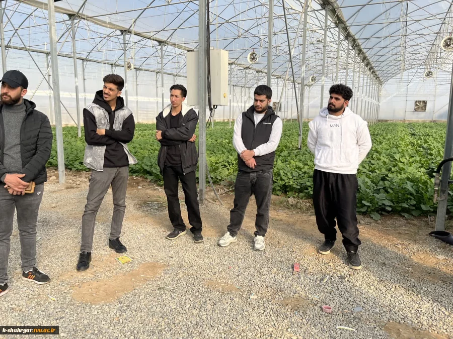 بازدید علمی دانشجویان درس ماشین ها و تجهیزات باغبانی استاد نسیم حبیبی از گلخانه آقای دهقان 4