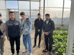 بازدید علمی دانشجویان درس ماشین ها و تجهیزات باغبانی استاد نسیم حبیبی از گلخانه آقای دهقان 5