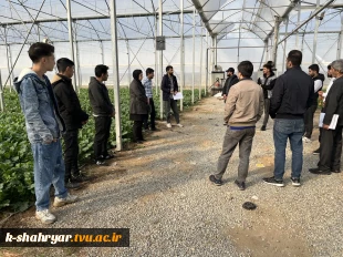 بازدید علمی دانشجویان درس ماشین ها و تجهیزات باغبانی استاد نسیم حبیبی از گلخانه آقای دهقان 2