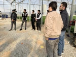 بازدید علمی دانشجویان درس ماشین ها و تجهیزات باغبانی استاد نسیم حبیبی از گلخانه آقای دهقان 2