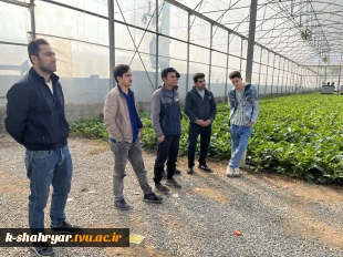 بازدید علمی دانشجویان درس ماشین ها و تجهیزات باغبانی استاد نسیم حبیبی از گلخانه آقای دهقان 3