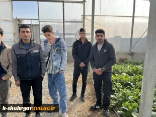 بازدید علمی دانشجویان درس ماشین ها و تجهیزات باغبانی استاد نسیم حبیبی از گلخانه آقای دهقان 5