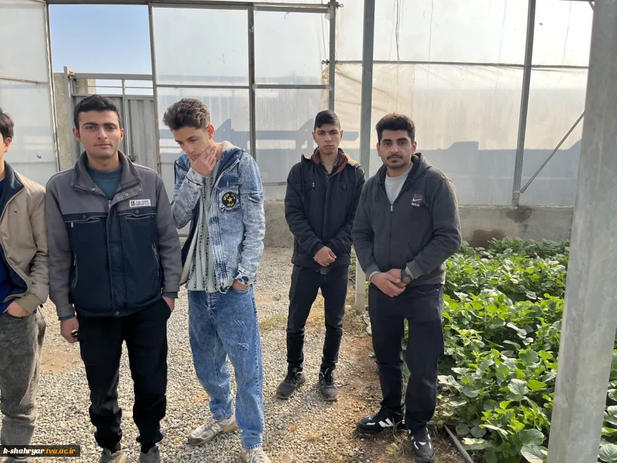 بازدید علمی دانشجویان درس ماشین ها و تجهیزات باغبانی استاد نسیم حبیبی از گلخانه آقای دهقان 5