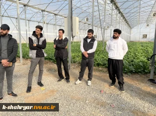 بازدید علمی دانشجویان درس ماشین ها و تجهیزات باغبانی استاد نسیم حبیبی از گلخانه آقای دهقان 4