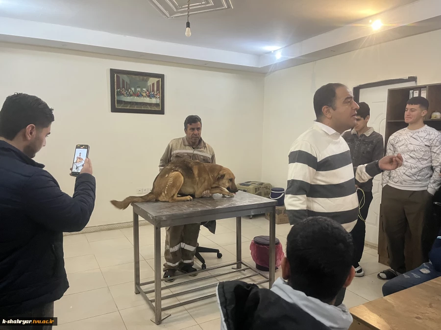 دوره عملی آموزش واکسیناسیون و تزریقات در دام های کوچک در دانشکده صفادشت برگزار شد 4