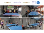 درخشش همکاران دانشکده صفادشت(کشاورزی-تربیت بدنی) در مسابقات ورزشی اساتید و کارکنان دانشگاه ملی مهارت استان تهران به مناسبت ایام الله دهه فجر 2